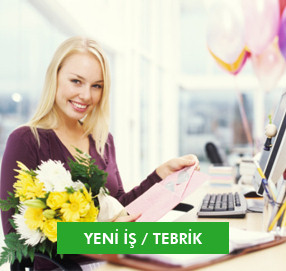 ieki