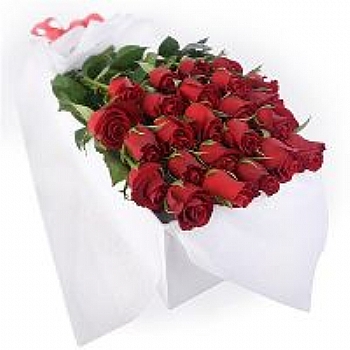 24 adet gl