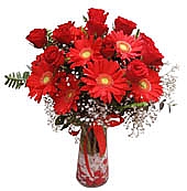 Gl ve gerbera