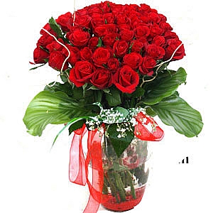 50 adet krmz gl