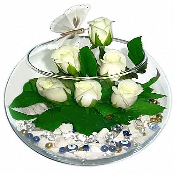 Beyaz gller