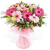 Gerbera Buketi
